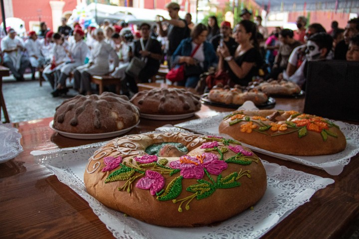 Imagen de galería del Festival