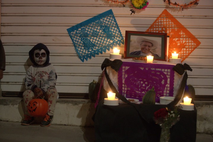 Imagen de galería del Festival