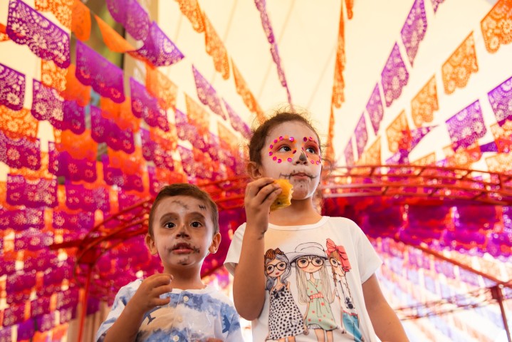 Imagen de galería del Festival